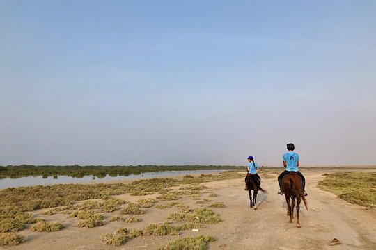 Tour image 10
